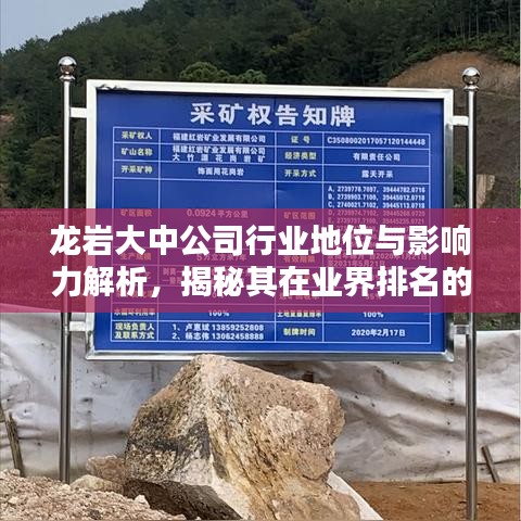 龙岩大中公司行业地位与影响力解析，揭秘其在业界排名的影响力量