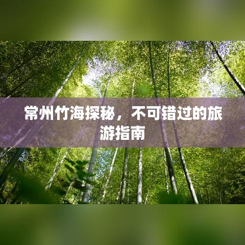 常州竹海探秘，不可错过的旅游指南