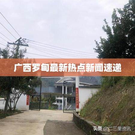 广西罗甸最新热点新闻速递
