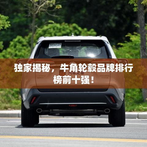 独家揭秘，牛角轮毂品牌排行榜前十强！