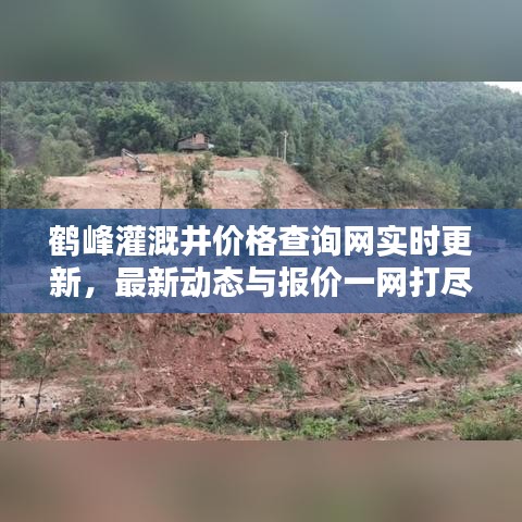 鹤峰灌溉井价格查询网实时更新，最新动态与报价一网打尽