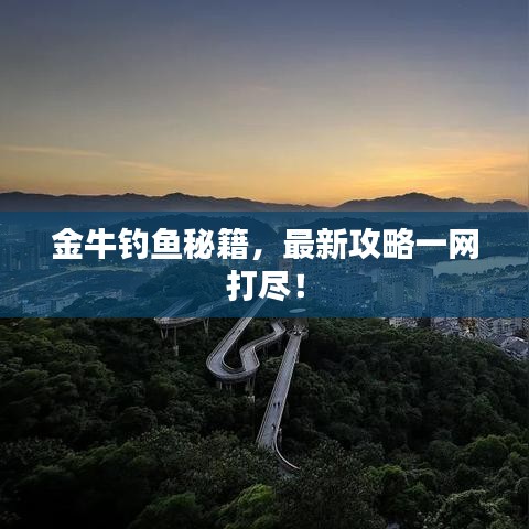 金牛钓鱼秘籍，最新攻略一网打尽！