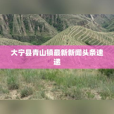 大宁县青山镇最新新闻头条速递