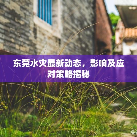 2025年4月 第8页