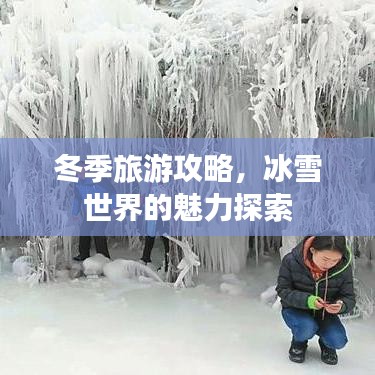 冬季旅游攻略，冰雪世界的魅力探索