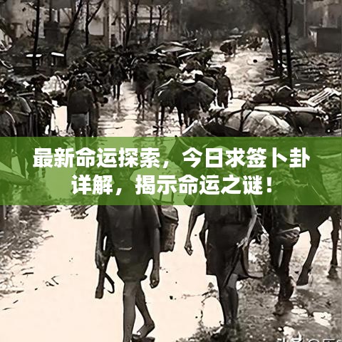 最新命运探索，今日求签卜卦详解，揭示命运之谜！