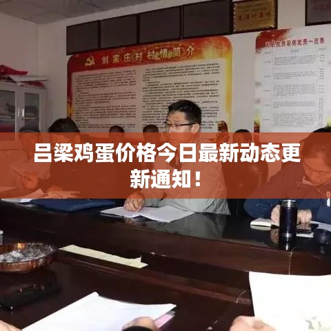 吕梁鸡蛋价格今日最新动态更新通知！