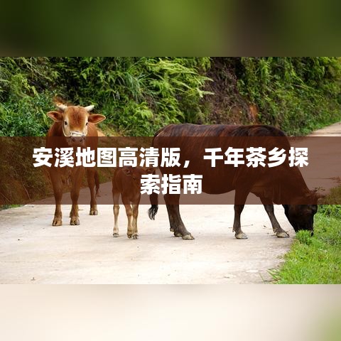 安溪地图高清版，千年茶乡探索指南
