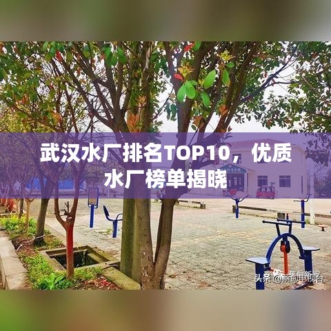 武汉水厂排名TOP10，优质水厂榜单揭晓