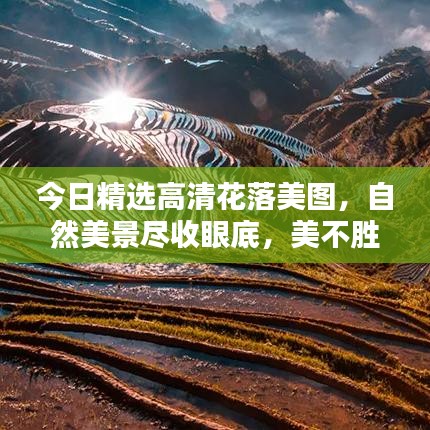 2025年5月1日 第3页