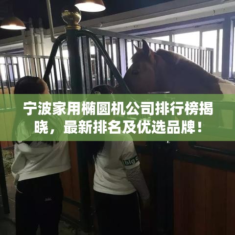 宁波家用椭圆机公司排行榜揭晓，最新排名及优选品牌！