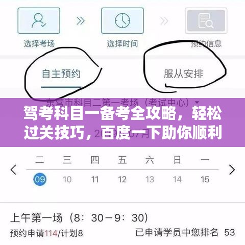 驾考科目一备考全攻略，轻松过关技巧，百度一下助你顺利通关！