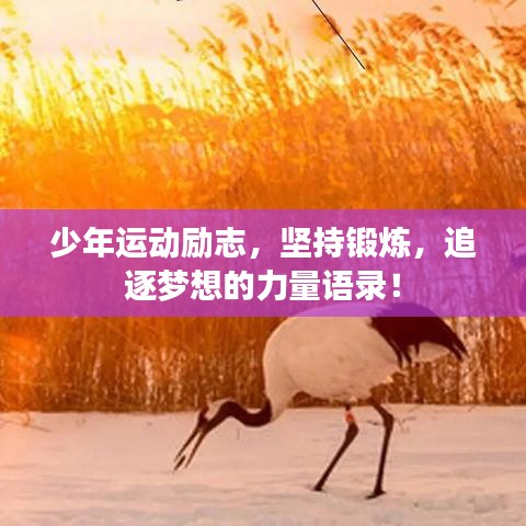 少年运动励志，坚持锻炼，追逐梦想的力量语录！