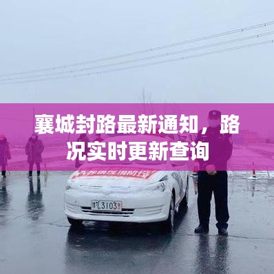 种植技术 第11页