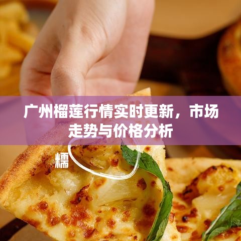 广州榴莲行情实时更新，市场走势与价格分析