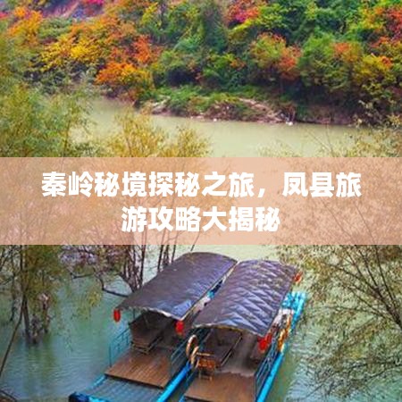 2025年5月3日 第5页