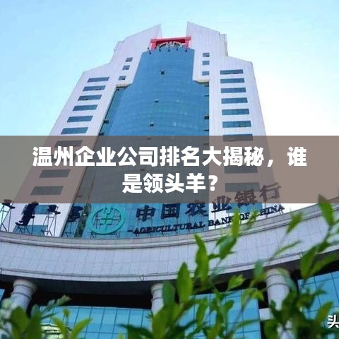 温州企业公司排名大揭秘，谁是领头羊？