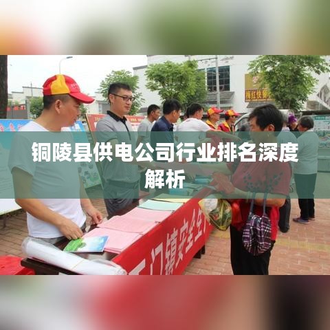 铜陵县供电公司行业排名深度解析