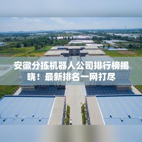 安徽分拣机器人公司排行榜揭晓！最新排名一网打尽