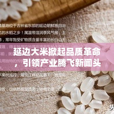 2025年5月7日 第2页