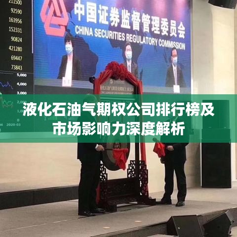 液化石油气期权公司排行榜及市场影响力深度解析