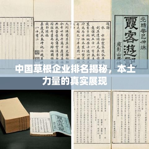 中国草根企业排名揭秘，本土力量的真实展现