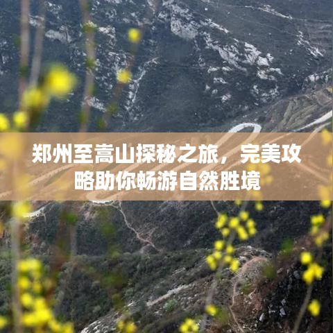 事必躬亲