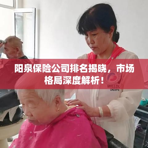 阳泉保险公司排名揭晓，市场格局深度解析！