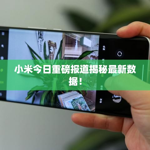 千载难逢