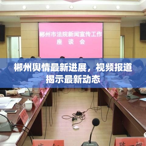 郴州舆情最新进展，视频报道揭示最新动态