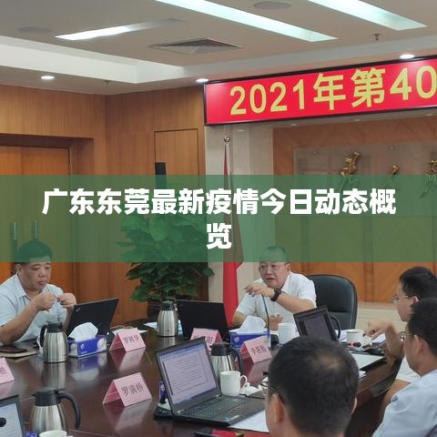 广东东莞最新疫情今日动态概览