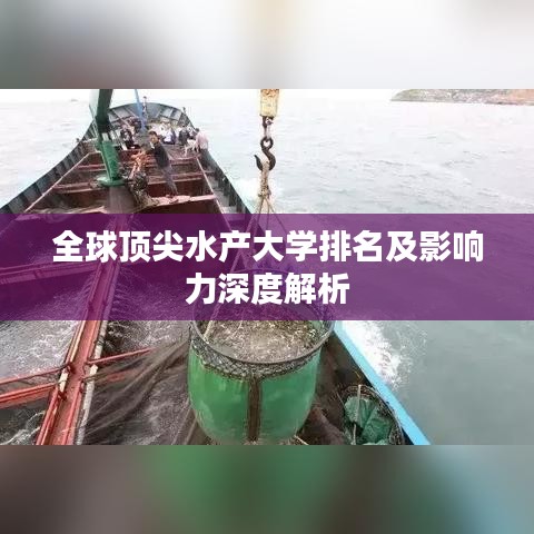 2025年5月12日