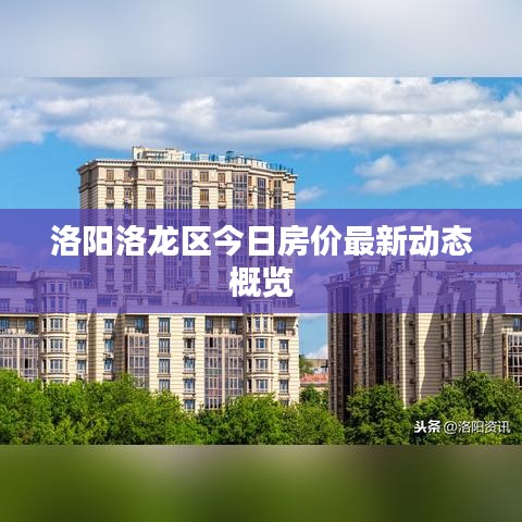 2025年5月 第6页