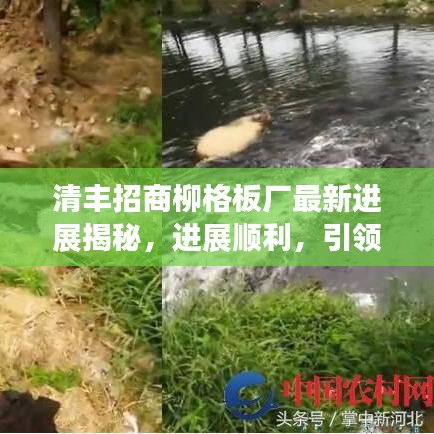 清丰招商柳格板厂最新进展揭秘，进展顺利，引领产业新发展！