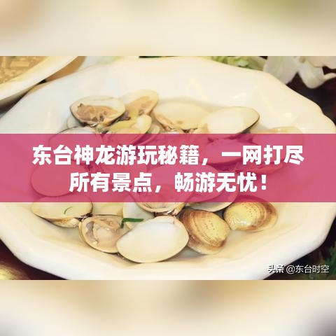 东台神龙游玩秘籍，一网打尽所有景点，畅游无忧！