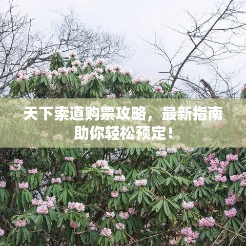 天下索道购票攻略，最新指南助你轻松预定！