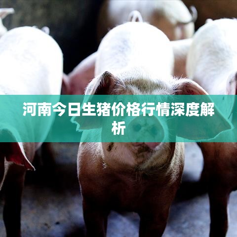 2025年5月27日 第5页