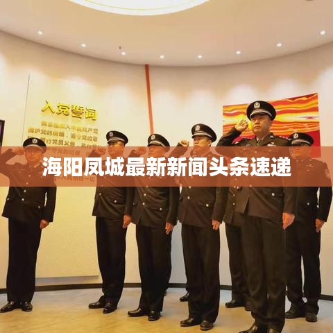 海阳凤城最新新闻头条速递