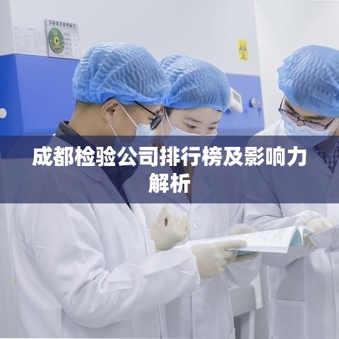 成都检验公司排行榜及影响力解析