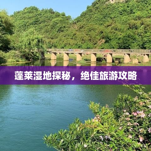 蓬莱湿地探秘，绝佳旅游攻略