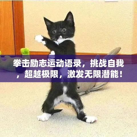 拳击励志运动语录，挑战自我，超越极限，激发无限潜能！