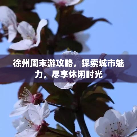 徐州周末游攻略，探索城市魅力，尽享休闲时光