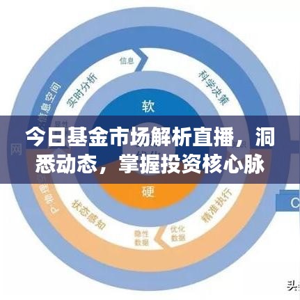 今日基金市场解析直播，洞悉动态，掌握投资核心脉络