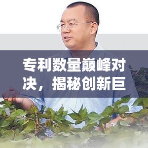 专利数量巅峰对决，揭秘创新巨头公司排名！