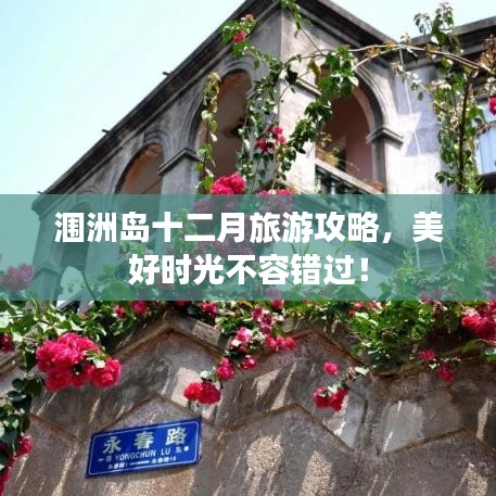 涠洲岛十二月旅游攻略，美好时光不容错过！