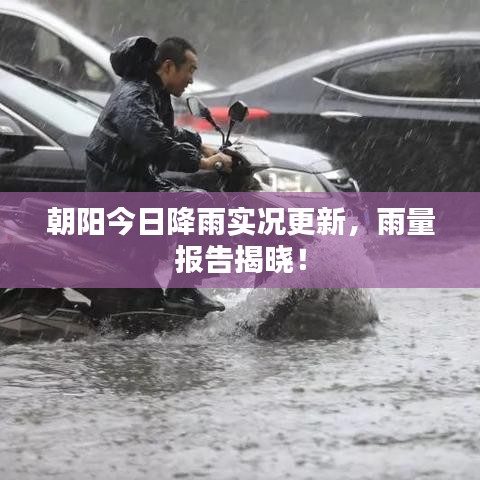朝阳今日降雨实况更新，雨量报告揭晓！