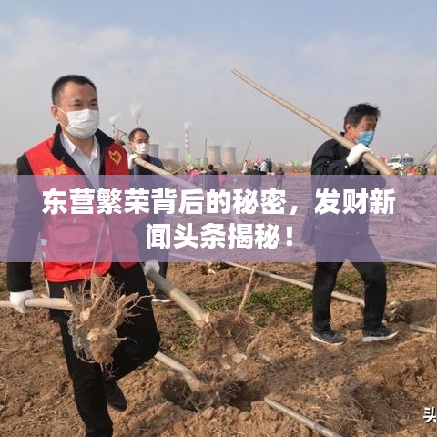 东营繁荣背后的秘密，发财新闻头条揭秘！