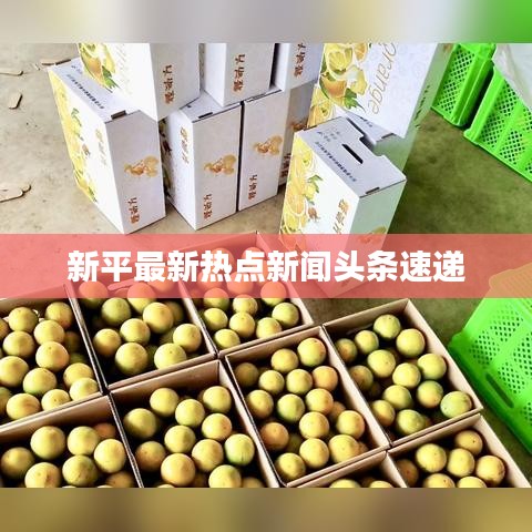 新平最新热点新闻头条速递