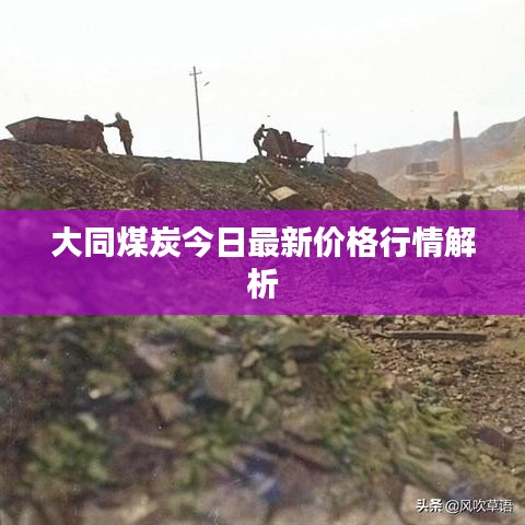 大同煤炭今日最新价格行情解析