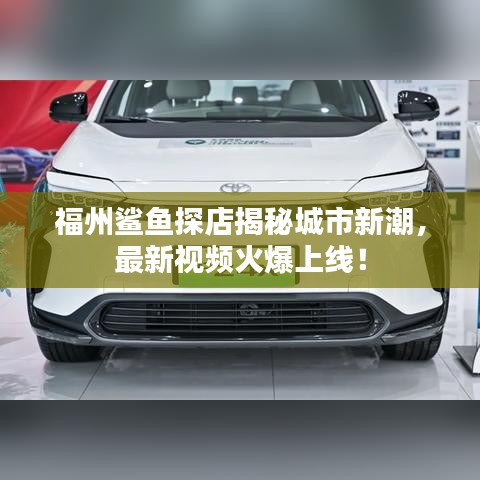 福州鲨鱼探店揭秘城市新潮，最新视频火爆上线！